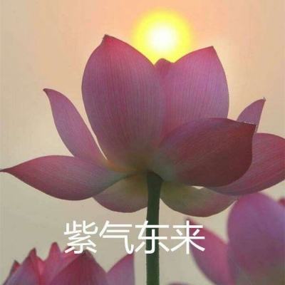 七剑情缘内购破解版下载